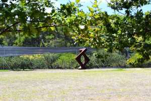 carrick hill 2014 (42)